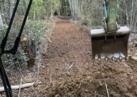 Chemin forêt - Sarthe